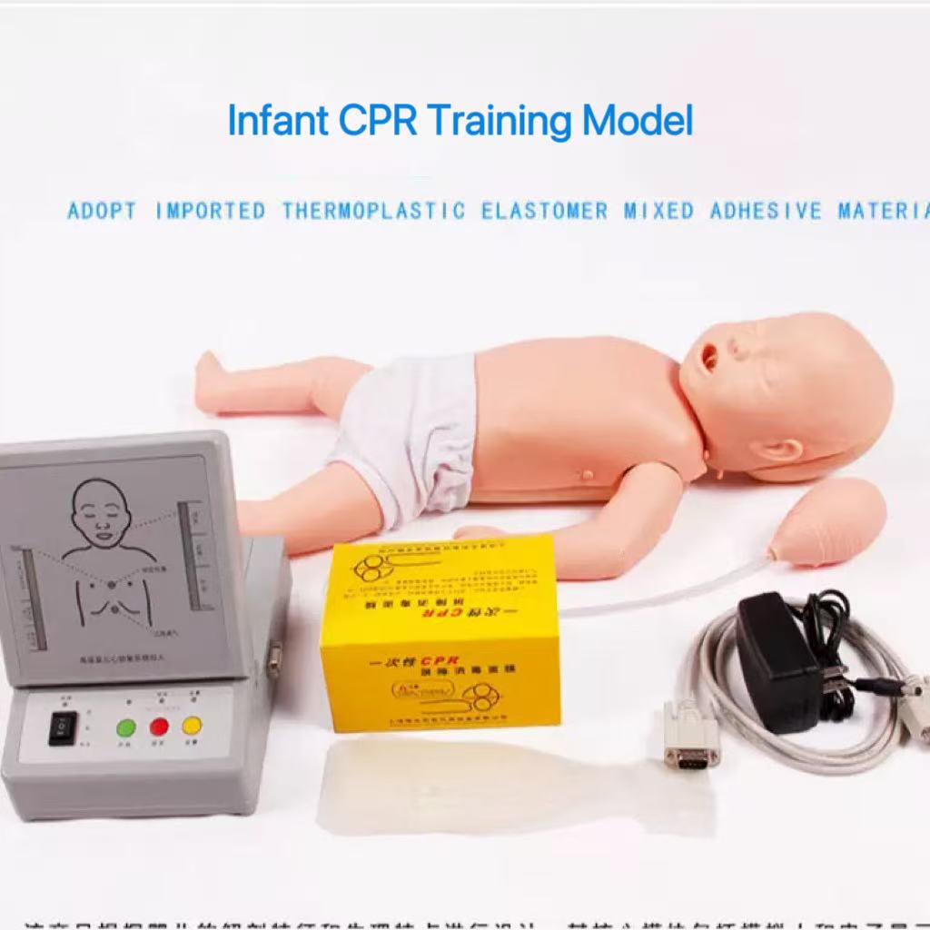 educational & training models educational & training models