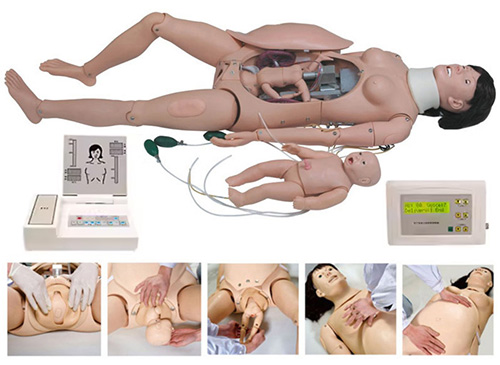 educational & training models educational & training models