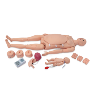 educational & training models