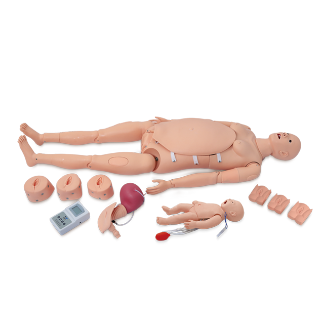 educational & training models educational & training models