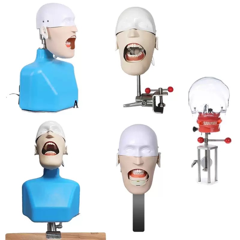 educational & training models educational & training models