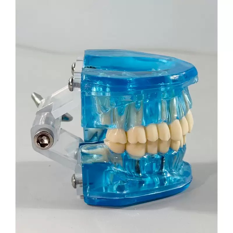 educational & training models educational & training models