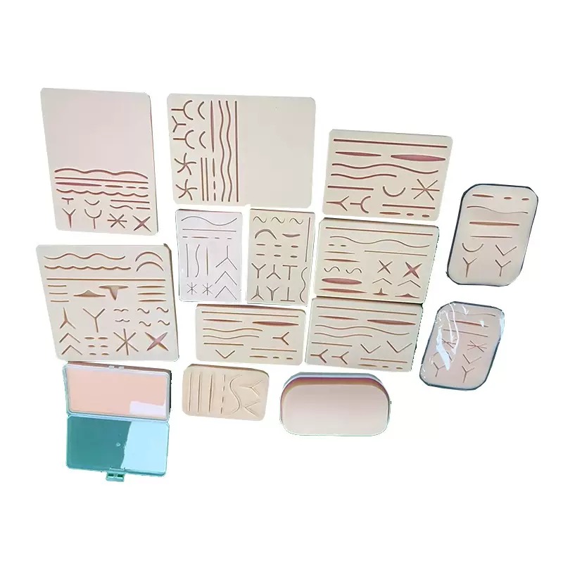 educational & training models educational & training models