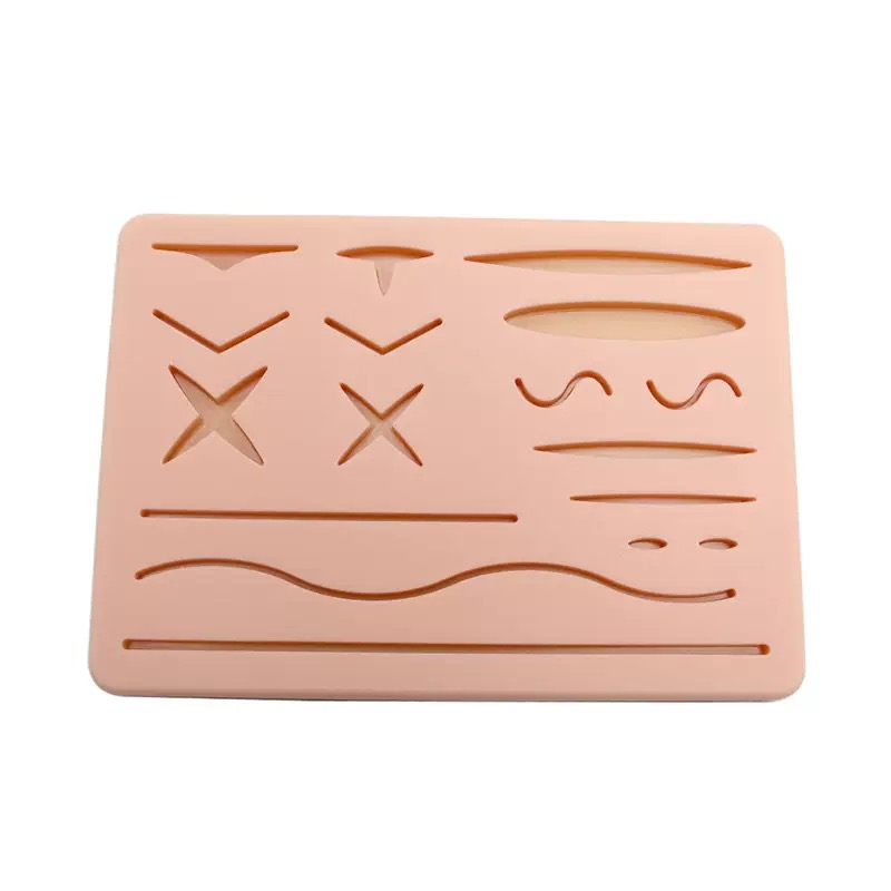 educational & training models educational & training models