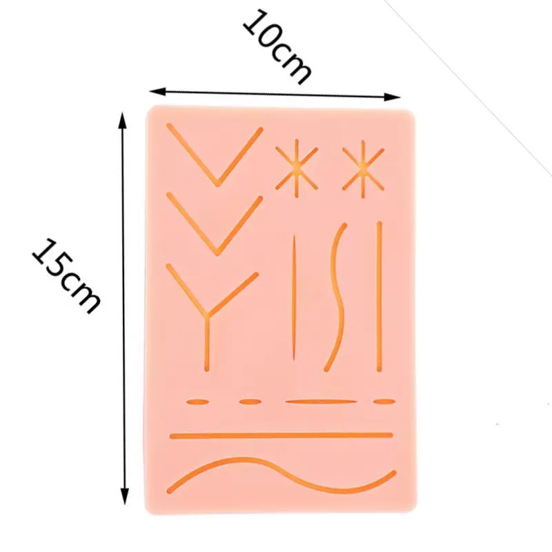 educational & training models educational & training models