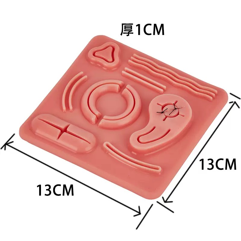 educational & training models educational & training models