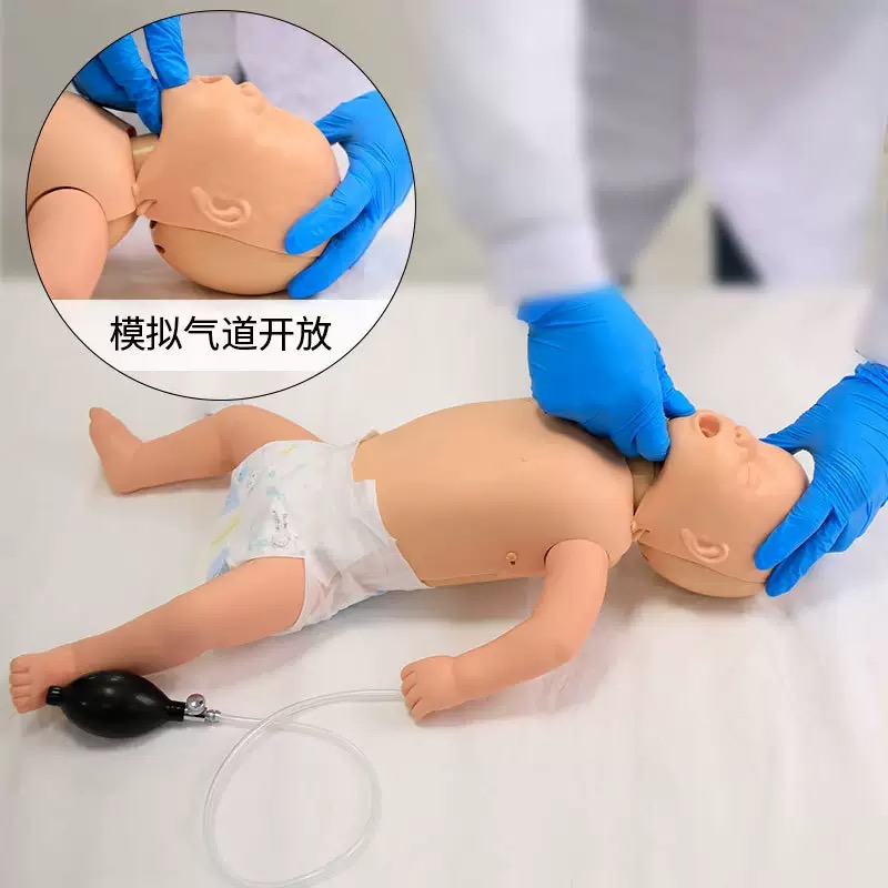 educational & training models educational & training models