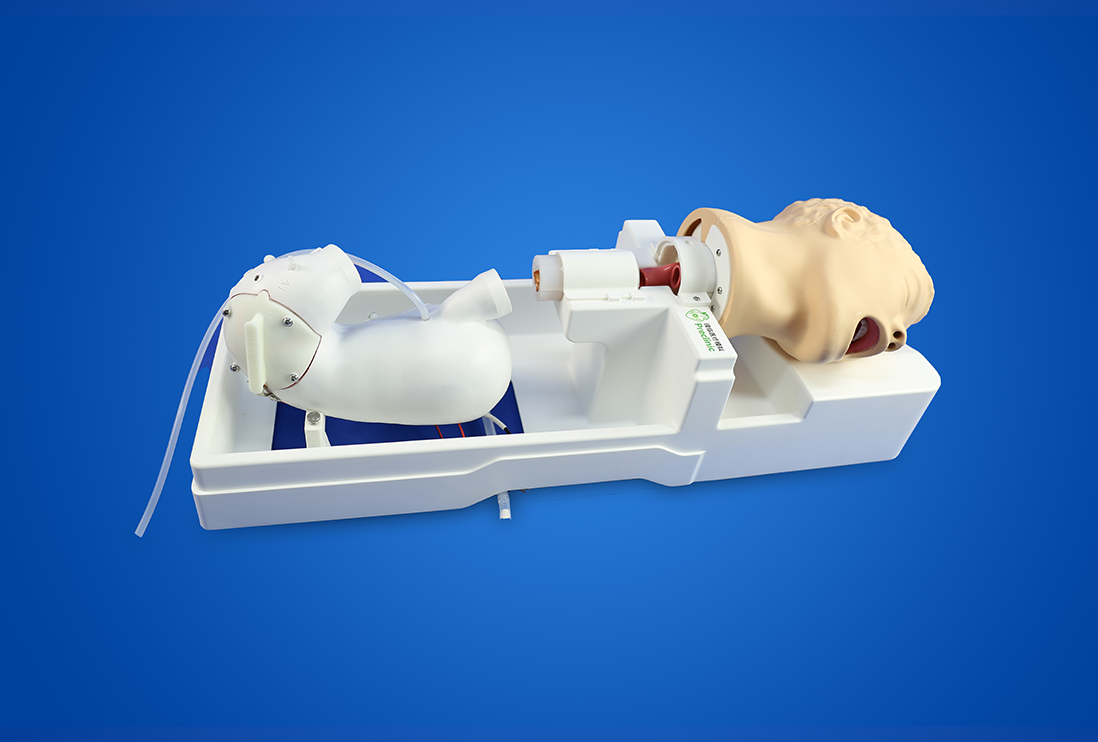 educational & training models educational & training models